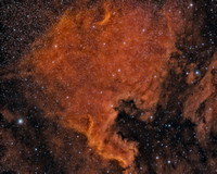 NGC-7000 the North America Nebula Sh 2-117