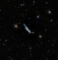 NGC-3432 Arp 206