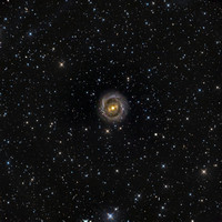 NGC-2217