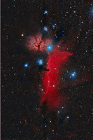 Barnard 33  and Flame Nebula