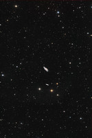NGC 4088 Arp 18