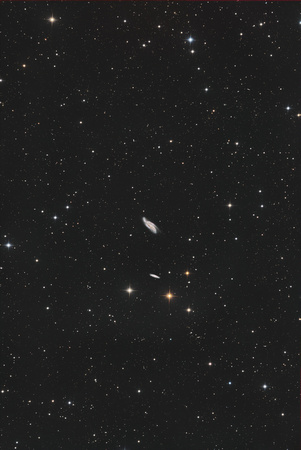 NGC 4088 Arp 18