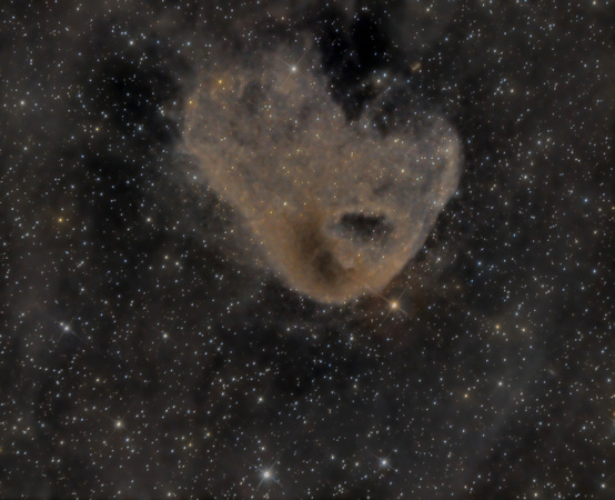 Barnard 207  LBN 777 (The Vulture Nebula)