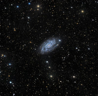 NGC 2403 Caldwell 7