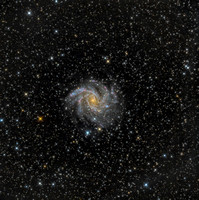 NGC 6946 Fireworks Galaxy Arp 29 ver 2