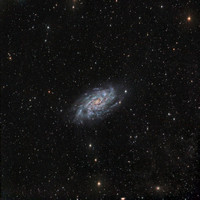 Caldwell 7 NGC 2403 ver Pix