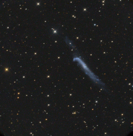 NGC 4656 The Hockey Stick Galaxy ver Pix