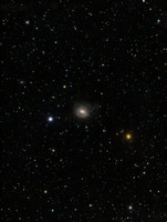 NGC 2655, Arp 225