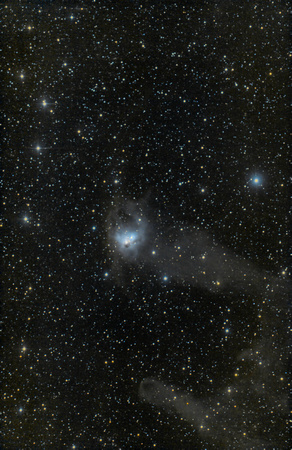 NGC-1788 Fox Face vdB 33, LBN 916 ver pix