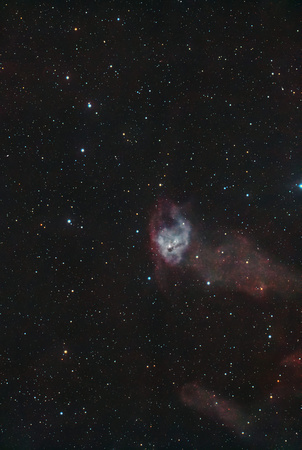 NGC-1788 Fox Face vdB 33, LBN 916 ver pix