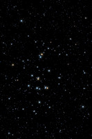 M44 NGC 2632 The Beehive Cluster, Praesepe