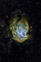 NGC 2174 Monkey Head  labelled