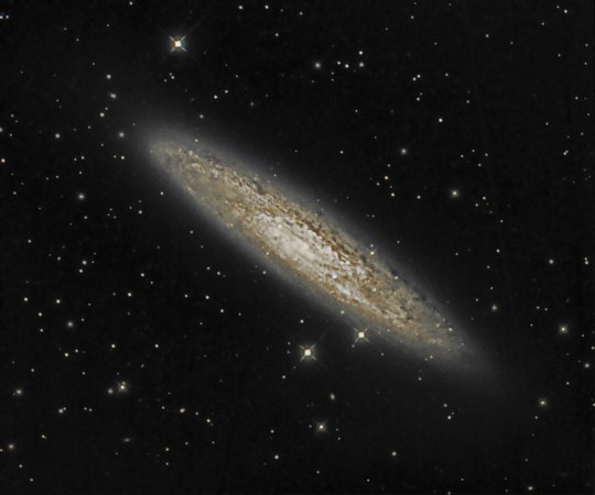 Caldwell 65 NGC 253 Sculptor Galaxy/Silver Coin Galaxy