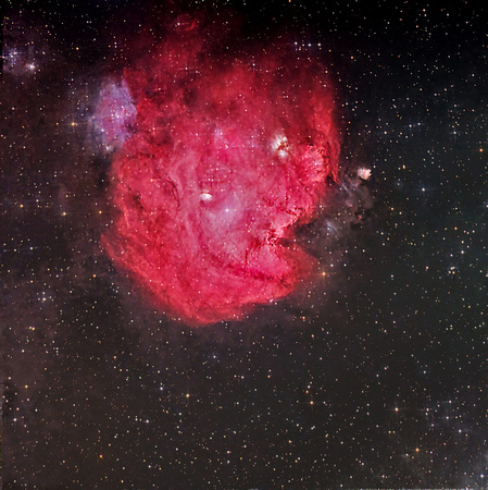 NGC 2175 Collinder 84 and Sh 2-252 The Monkey Head Nebula