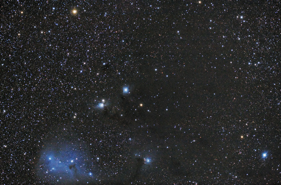 NGC-2247, NGC-2245, IC-446, IC-447