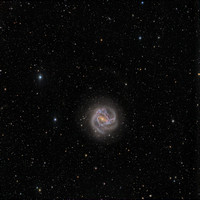M83  NGC 5236  Southern Pinwheel Galaxy