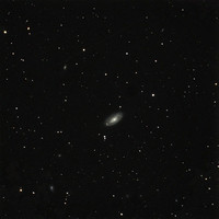 M88  NGC 4501