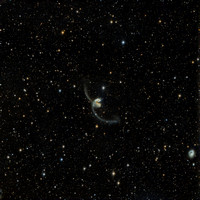 Caldwell 60-61 NGC 4038-4039