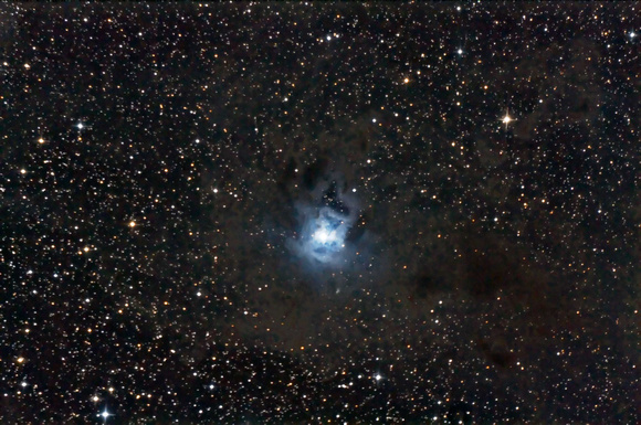 Caldwell 4  NGC 7023 The Iris Nebula