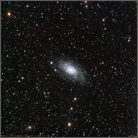 Caldwell 7  NGC 2403